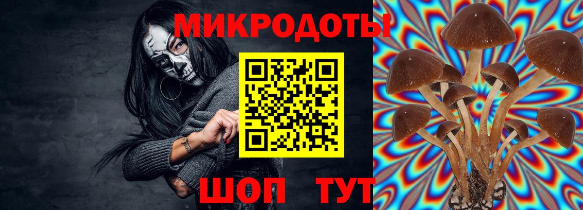 Галлюциногенные грибы ЛСД Астрахань