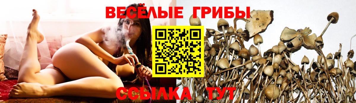 Галлюциногенные грибы Cubensis  Галлюциногенные грибы Psilocybine cubensis  Астрахань  Вход с VPN 